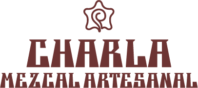 Mezcal Charla Modal